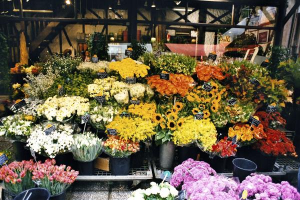 Qué es la floricultura - ¿Es lo mismo la jardinería que la floricultura?