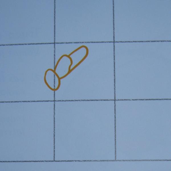 Cómo dibujar una libélula - Paso 1