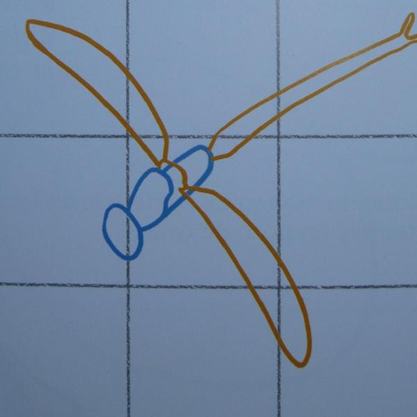 Cómo dibujar una libélula - Paso 2