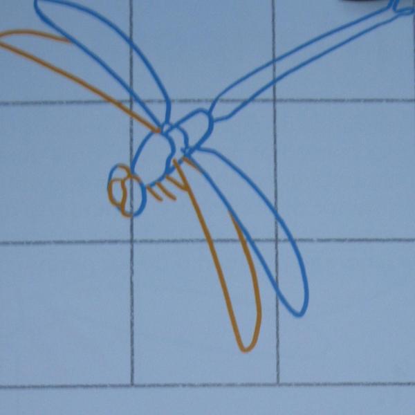 Cómo dibujar una libélula - Paso 3