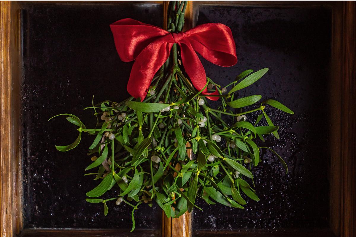 Cuándo se quema el muérdago y qué pasa si se me olvidó quemarlo