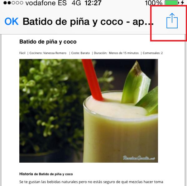 Cómo guardar archivos PDF en iPhone - Paso 5