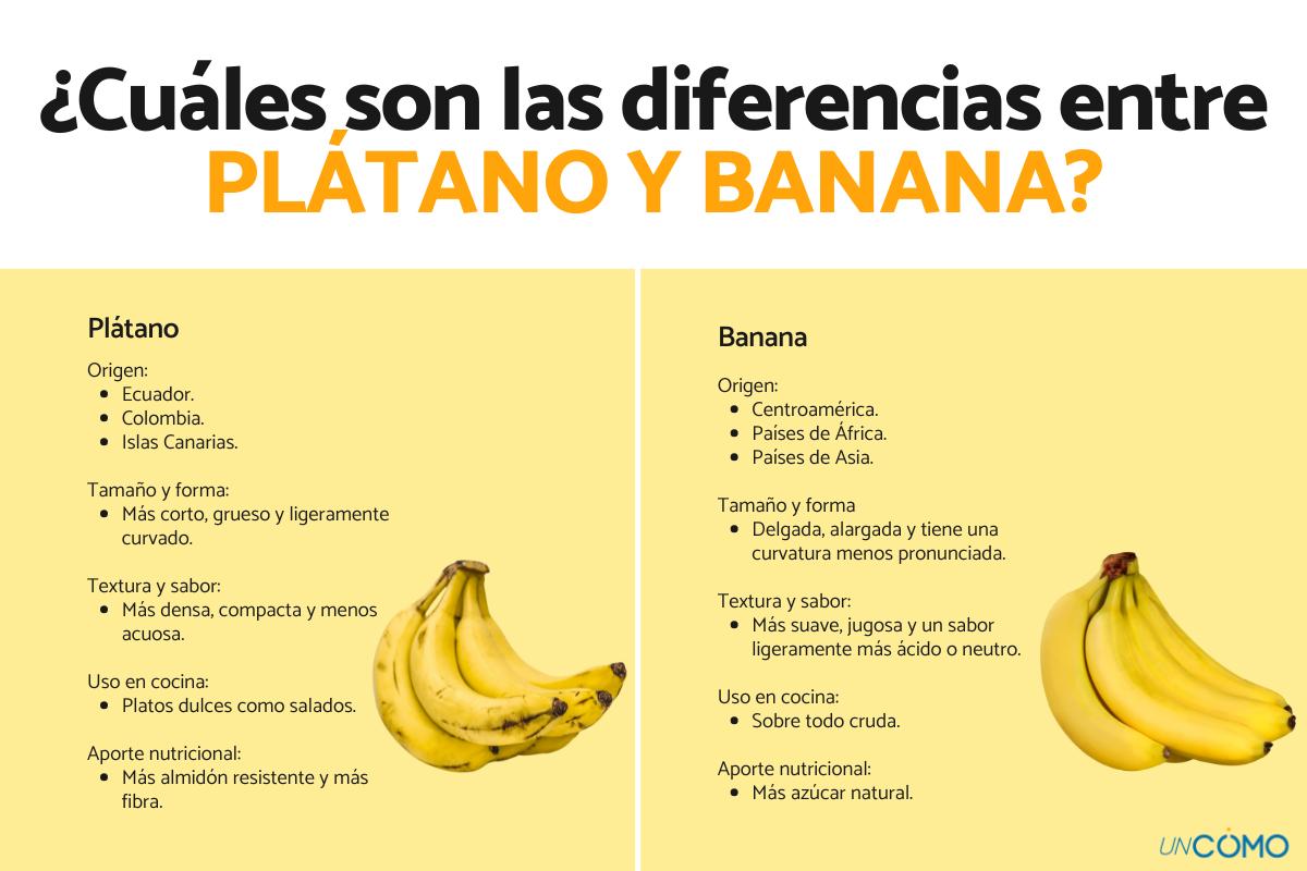 Cuáles son las diferencias entre plátano y banana