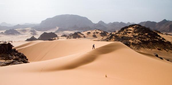 Cómo sobrevivir en el desierto del Sáhara