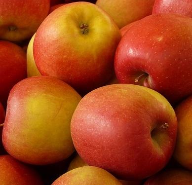 Cuáles son las frutas que pueden comer las cobayas - Paso 2