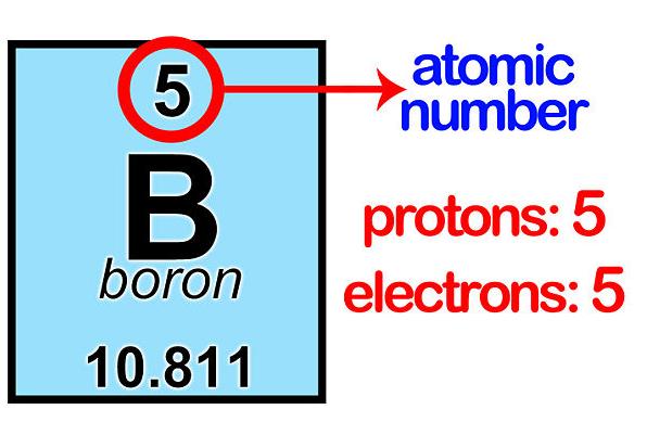 Calcular el número de protones, electrones y neutrones en un átomo - El número de protones