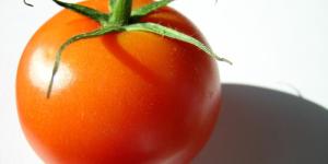 Cuáles son los beneficios del tomate