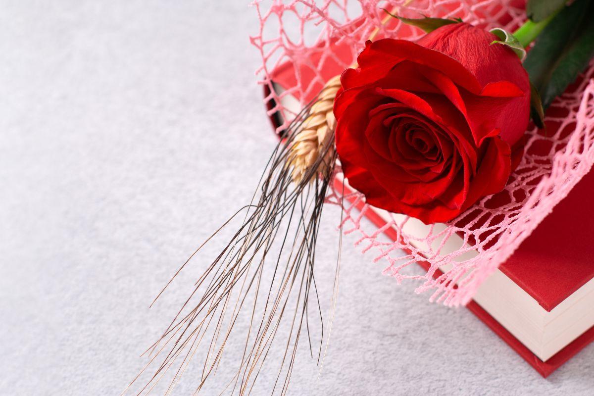 Poemas de Sant Jordi de amor para felicitar el 23 de abril