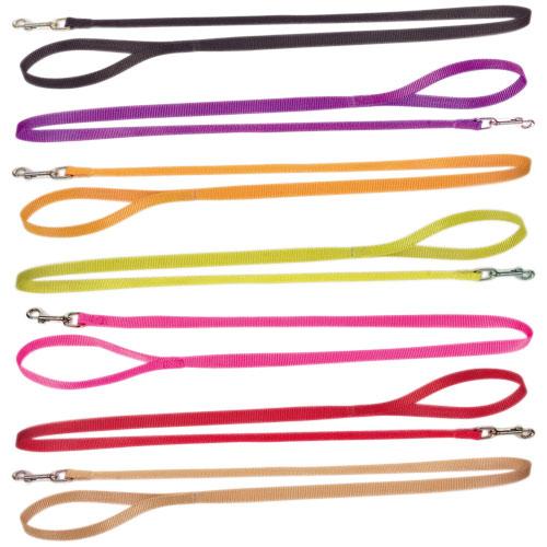 Cómo pasear varios perros a la vez - Paso 2