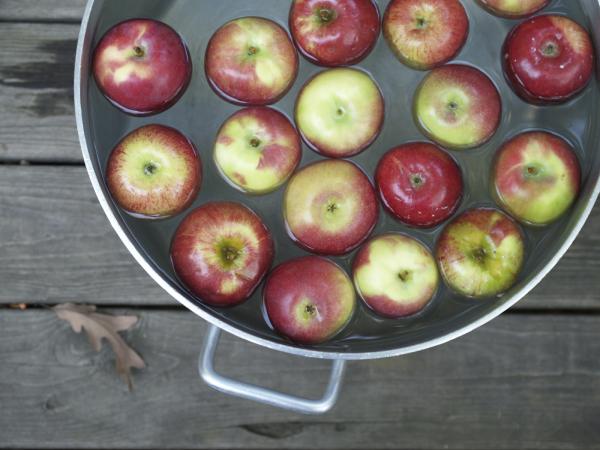 Cómo evitar que la manzana se oxide - Formas de evitar que se oxide una manzana