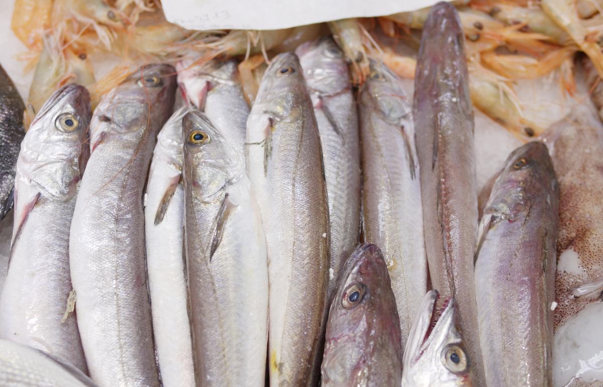 Cuáles son los pescados blancos