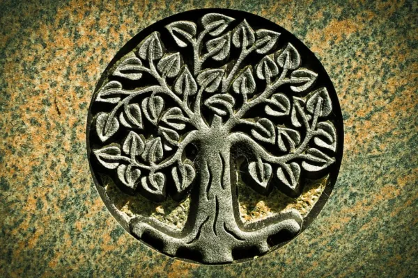 rebelión lado positivo del árbol de la vida