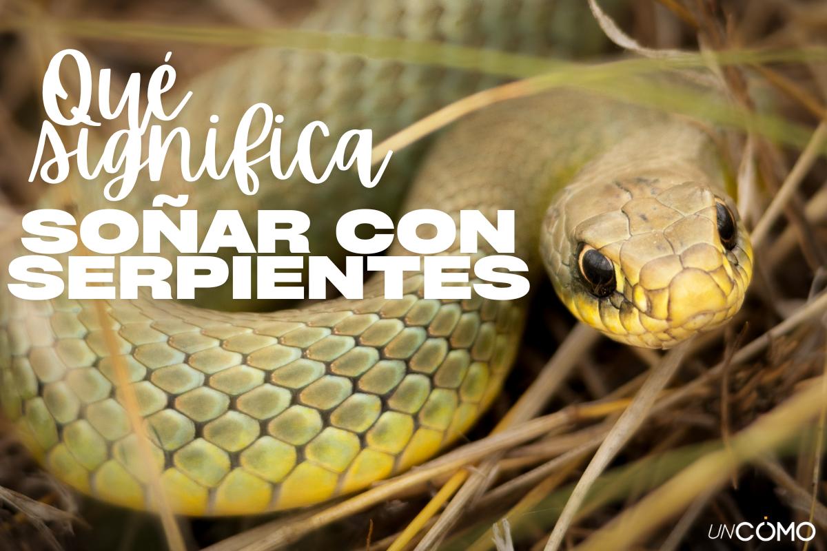 Qué significa soñar con serpientes de colores