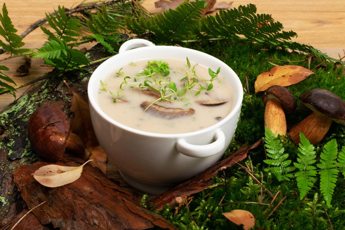 Cómo hacer una crema de boletus