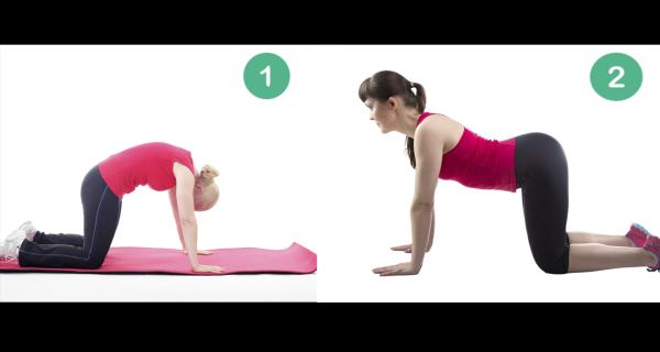 5 ejercicios para corregir la escoliosis - Ejercicio 2: Posición del gato 