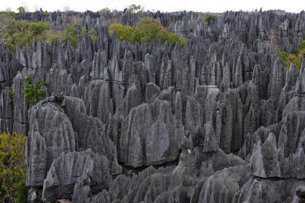 Los lugares más extraños del mundo - El Bosque de Piedra de Tsingy, Madagascar