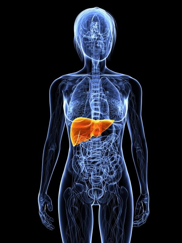 Cuáles son las causas de la fosfatasa alcalina elevada  - Enfermedades hepáticas