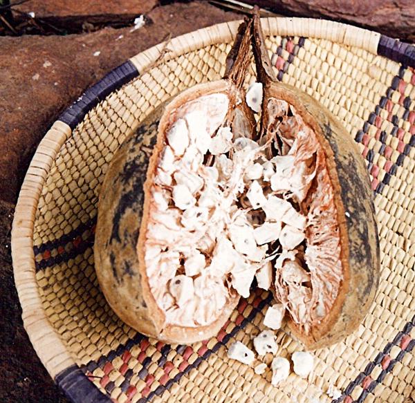 Propiedades medicinales del baobab - Reduce el azúcar en sangre