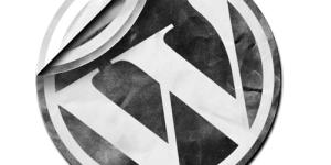 Cómo exportar todo mi contenido de Wordpress