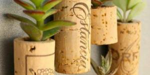 Cómo hacer macetas con tapones de corcho