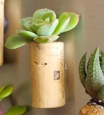 Cómo hacer macetas con tapones de corcho - Paso 7