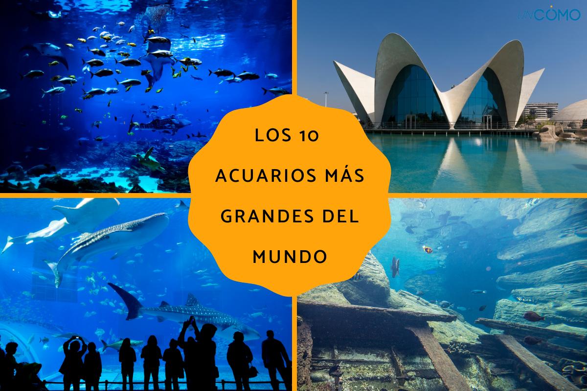 Los acuarios más grandes del mundo
