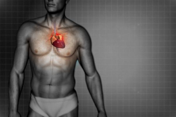 Qué bicicleta estática comprar - Paso 4