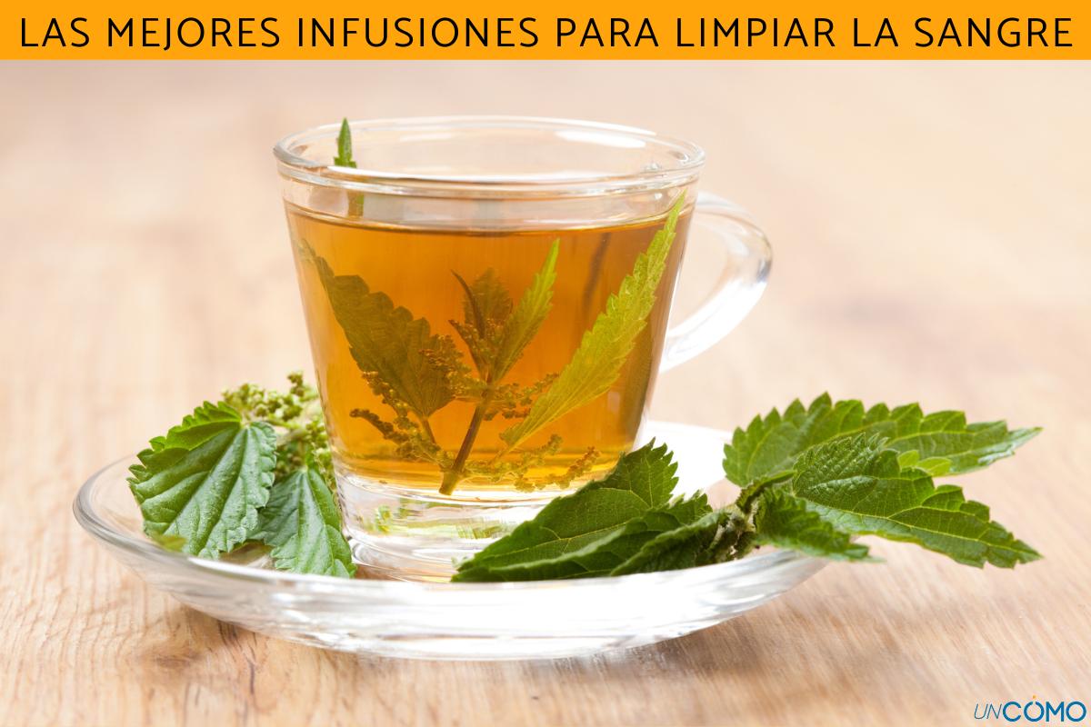 Las mejores infusiones para limpiar la sangre