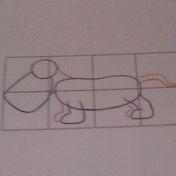 Cómo dibujar un perro - Paso 3