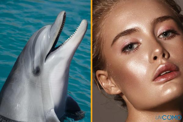 Piel de delfín o dolphin skin: cómo conseguir este maquillaje - Qué es el maquillaje de piel de delfín o dolphin skin