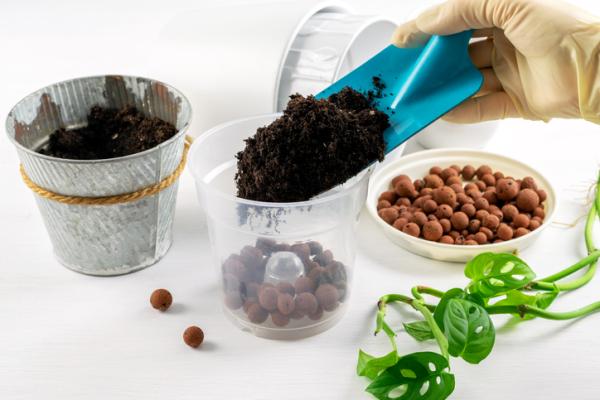 Por qué mis plantas de interior no crecen - Tierra y fertilizantes para plantas de interior