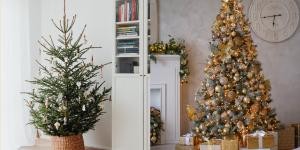 Tipos de árboles de Navidad: cómo elegir el ideal