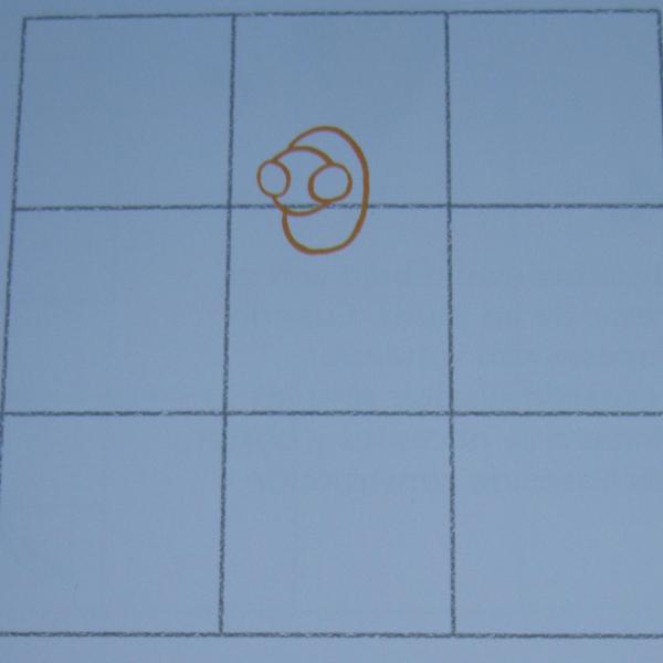 Cómo dibujar una avispa - Paso 1