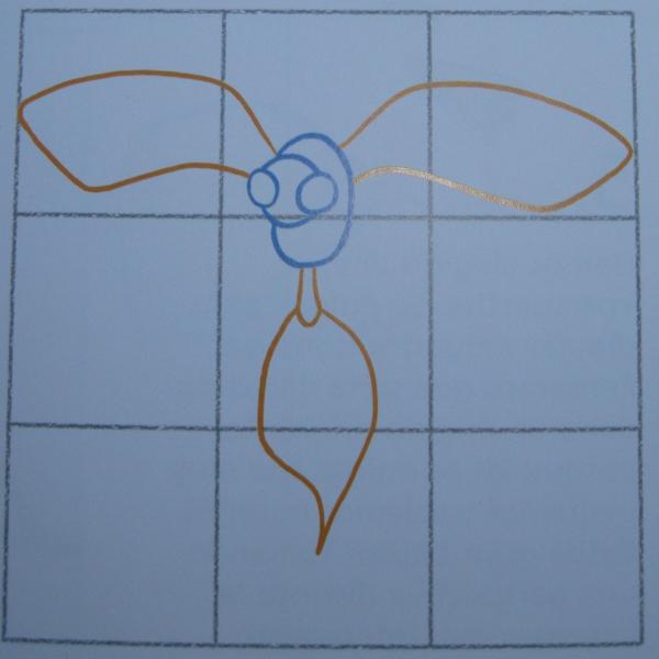 Cómo dibujar una avispa - Paso 2