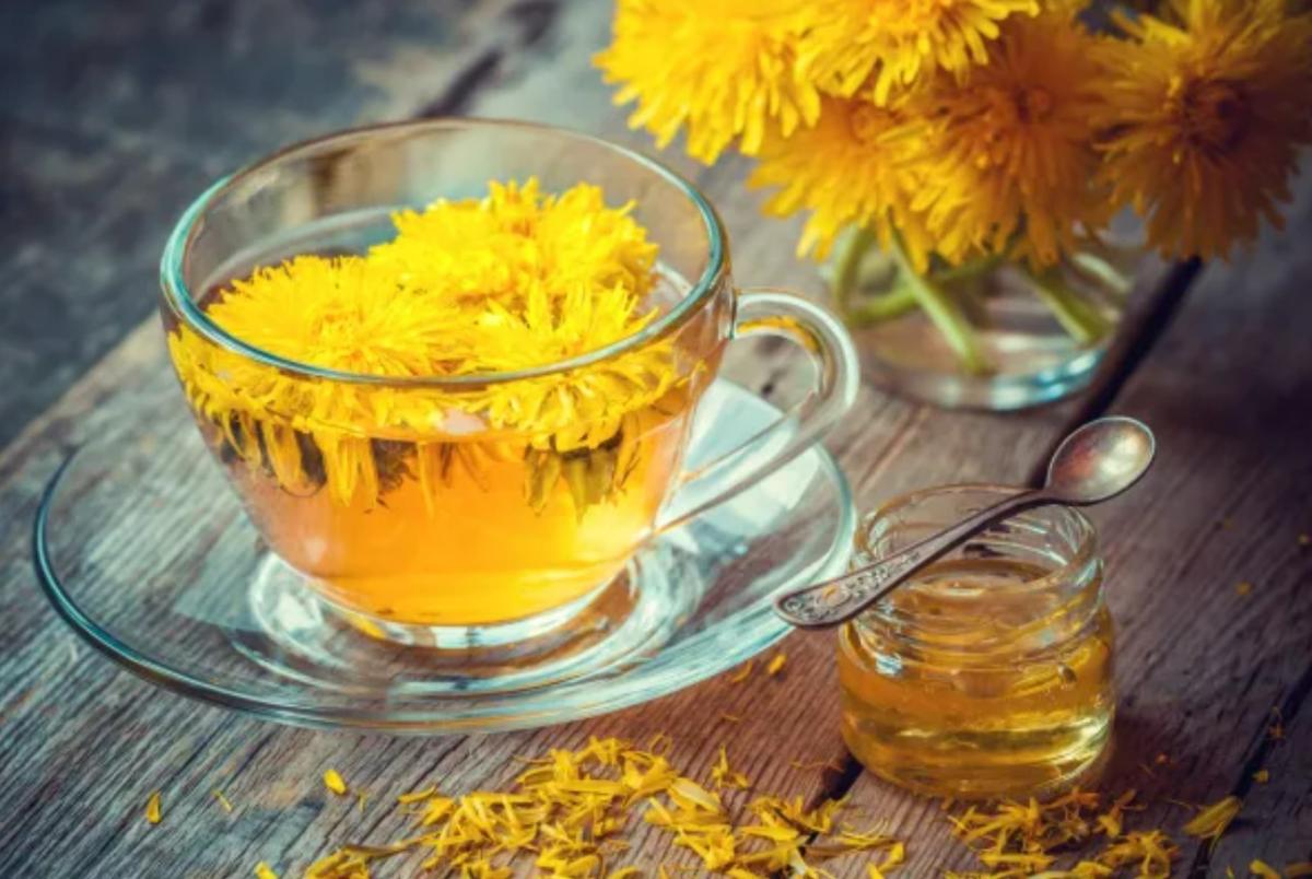 Plantas medicinales para el estreñimiento