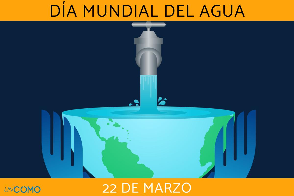 Día Mundial del Agua: cuándo es y por qué se celebra