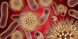 Como evitar que las bacterias lleguen al intestino