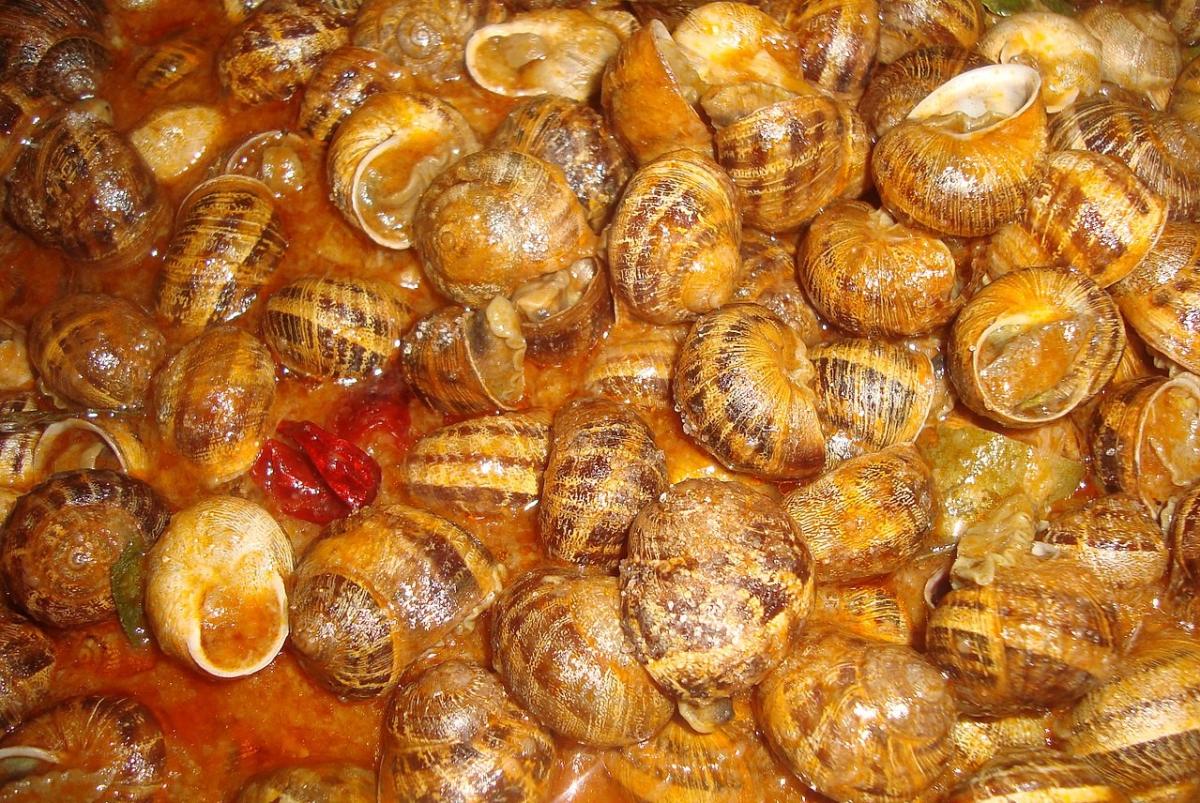 Cómo hacer caracoles en salsa picante