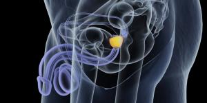 Cómo tomar semillas de calabaza para desinflamar la próstata