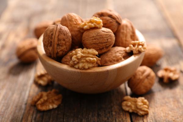¿Los perros pueden comer nueces? ¿Son tóxicas o peligrosas? - ¿Es seguro dar nueces a tu perro?