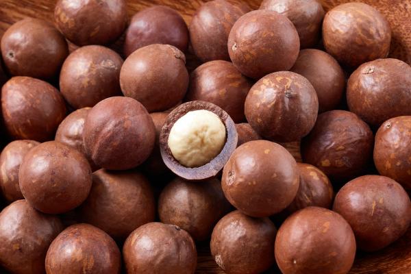 ¿Los perros pueden comer nueces? ¿Son tóxicas o peligrosas? - ¿Todas las nueces son seguras para perros?