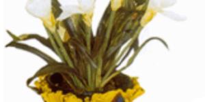 Cómo hacer un macetero casero