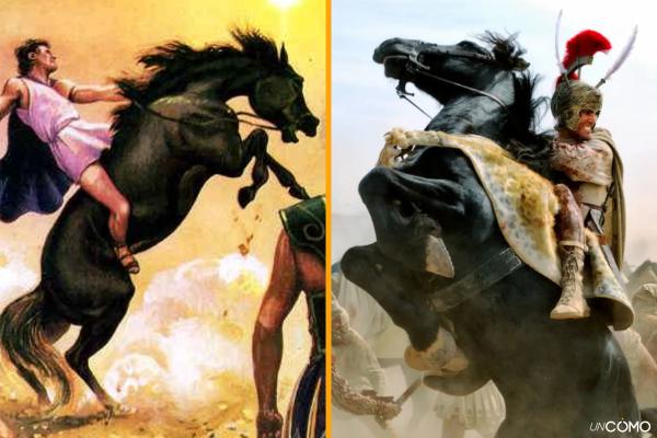 Nombres de caballos famosos y sus historias más inspiradoras y sorprendentes - Búcefalo