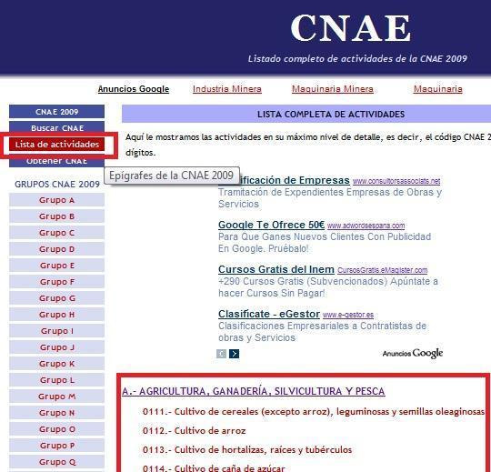 Cómo conocer el código CNAE de una empresa - Paso 2