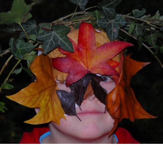 Cómo hacer una máscara con plantas - Paso 5