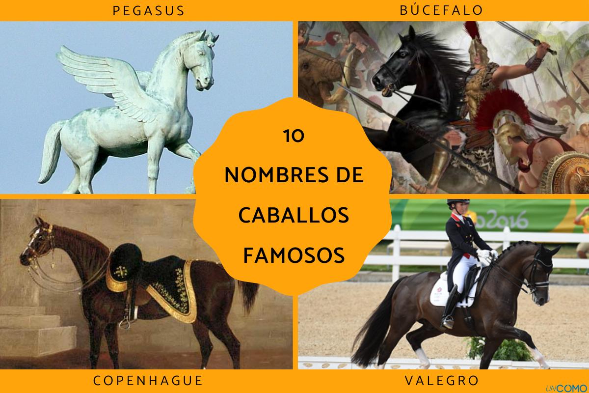 Nombres de caballos famosos y sus historias más inspiradoras y sorprendentes