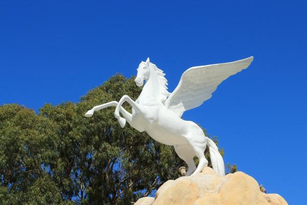 Nombres de caballos famosos y sus historias más inspiradoras y sorprendentes - Pegasus (caballo del dios Zeus)