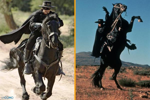 Nombres de caballos famosos y sus historias más inspiradoras y sorprendentes - Tornado (caballo del Zorro)