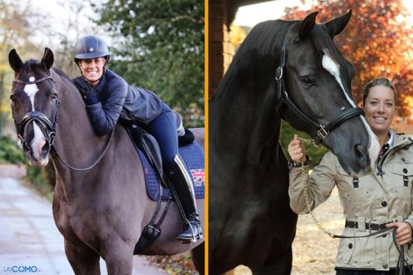 Nombres de caballos famosos y sus historias más inspiradoras y sorprendentes - Valegro