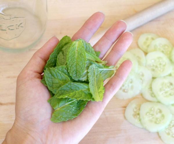 3 Recetas para hacer aguas saborizadas - Paso 1